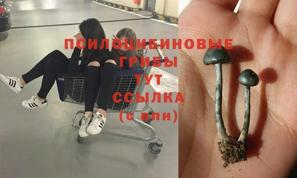 спайс Киров