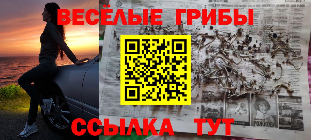 Псилоцибиновые грибы Cubensis  где найти наркотики  Аксай  Вход с VPN 