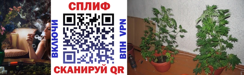 Бошки марихуана ГИДРОПОН  blacksprut как войти  Аксай 